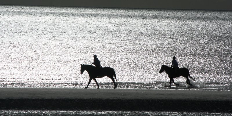 Black and white_0017